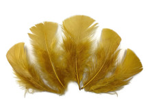 1/4 Lb. - Antique Gold Turkey T-Base Wholesale Body Plumage Feathers (Bulk)