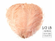 1/2 Lb. - 18-24" Champagne Large Ostrich Wing Plume Wholesale Feathers (Bulk)