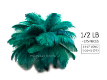1/2 lb. - 14-17" Teal Green Ostrich Large Body Drab Wholesale Feathers (Bulk)