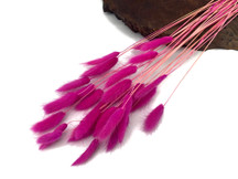 30 Pieces - 12-15" Hot Pink Bunny Tail Preserved Dried Botanical Grass Bouquet