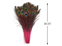 50 Pieces - 20-25" Candy Pink Dyed Over Natural Long Peacock Tail Eye Wholesale Feathers (Bulk)