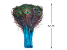 50 Pieces - 20-25" Turquoise Blue Dyed Over Natural Long Peacock Tail Eye Wholesale Feathers (Bulk)