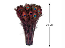 Copy of 50 Pieces - 20-25" Burgundy  Dyed Over Natural Long Peacock Tail Eye Wholesale Feathers (Bulk)