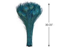 50 Pieces - 30-35" Teal Green Bleached & Dyed Peacock Tail Eye Wholesale Feathers (Bulk) 