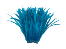 2.5 Inch Strip - 14-16" Turquoise Blue Strung Natural Bleach & Dyed Coque Tails Feathers
