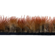 1 Yard - Natural Red Golden Pheasant Plumage Feather Trim