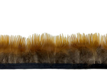1 Yard - Natural Yellow Golden Pheasant Plumage Feather Trim