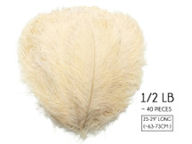 1/2 Lb. - 25-29" Cream Large Ostrich Wing Plume Wholesale Feathers (Bulk)