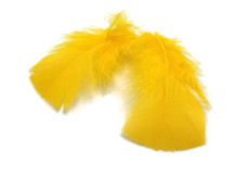 1 Pack - Golden Yellow Turkey T-Base Plumage Feathers 0.50 Oz.
