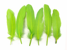 1 Pack - Lime Green Goose Satinettes Loose Feathers 0.3 Oz.