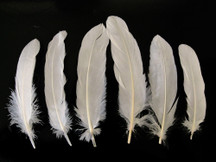 1 Pack - Ivory Goose Satinettes Loose Feathers 0.3 Oz.