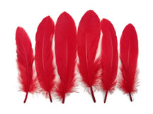 1 Pack - Red Goose Satinettes Loose Feathers 0.3 Oz.