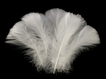 1/4 Lb - 2-3" White Goose Coquille Loose Wholesale Feathers (Bulk)