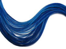 6 Pieces - XL Solid Royal Blue Thin Rooster Hair Extension Feathers