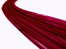 10 Pieces - Solid Claret Thin Long Rooster Hair Extension Feathers