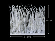 6 Inch Strip - Snow White Ostrich Fringe Trim Feathers