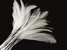 1 Dozen - White Stripped Rooster Neck Hackle Eyelash Feather