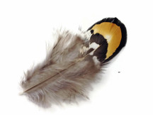 1 Pack - Golden Yellow Reeves Venery Pheasant Plumage Feathers 0.10 Oz.