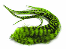 6 Pieces - Lime Green Thick Long Grizzly Rooster Hair Extension Feathers