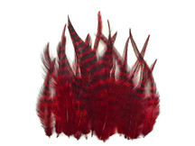 1 Dozen - Short Red Grizzly Rooster Hair Extension Feathers