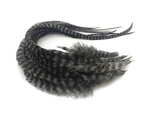 6 Pieces - Grey Dun Grizzly Thick Long Rooster Hair Extension Feathers
