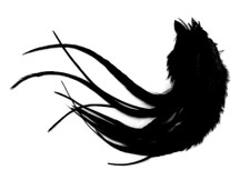 1 Dozen - Medium Solid Black Rooster Saddle Whiting Hair Extension Feathers