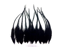 1 Dozen - Short Solid Black Whiting Farm Rooster Saddle Hair Extension Feathers