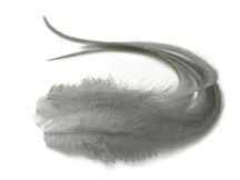 6 Pieces - Solid Gray Thick Long Rooster Hair Extension Feathers