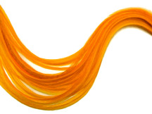 6 Pieces - XL Solid Tangerine Whiting Farm Rooster Hair Extension Feathers 11" and Up 