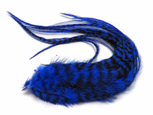 6 Pieces - Royal Blue Thick Long Grizzly Rooster Hair Extension Feathers