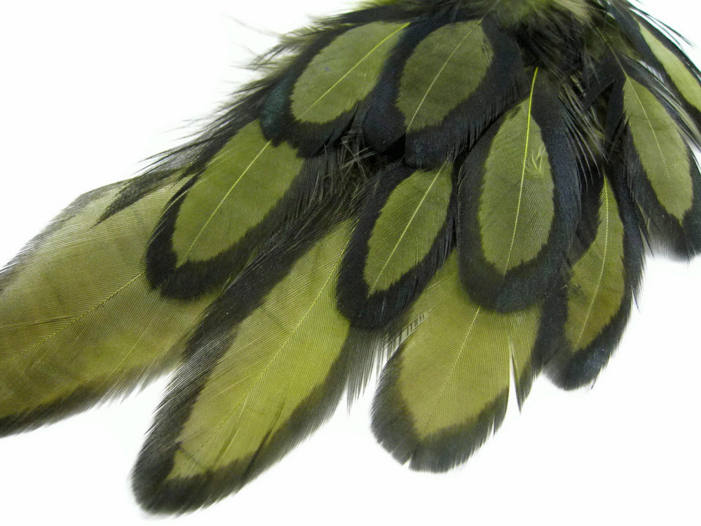 Olive Green Whiting Farms Laced Hen Saddle Feathers Fly Tying Craft 1 Dozen