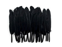 1 Pack - Black Dyed Duck Cochettes Loose Wing Quill Feather 0.30 Oz.