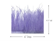 6 Inch Strip - Lavender Ostrich Fringe Trim Feather