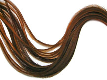 6 Pieces - Xl Solid Brown Thin Rooster Hair Extension Feathers