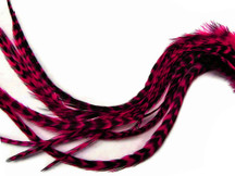 6 Pieces - XL Claret Grizzly Thick Rooster Hair Extension Feathers