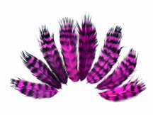 1 Dozen - Magenta Grizzly Mini Rooster Chickabou Fluff Whiting Hair Feathers