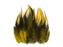 1 Dozen - Short Yellow Badger Whiting Farm Rooster Saddle Hair Extension Feathers