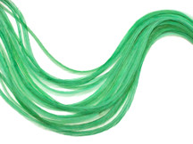 6 Pieces - XL Solid Aqua Mint Thin Whiting Farm Rooster Hair Extension Feathers 11" and Up 