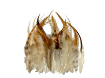 1 Dozen - Short Unique Ginger Grizzly Whiting Farm Rooster Saddle Hair Extension Feathers