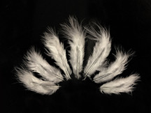1 Dozen - Solid Ivory Mini Rooster Chickabou Fluff Whiting Hair Feathers