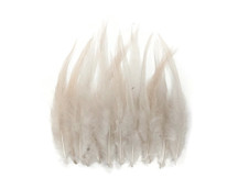 1 Dozen - Short Solid Ivory Whiting Farm Rooster Saddle Hair Extension Feathers