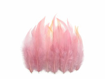 1 Dozen - Short Solid Light Pink Whiting Farm Rooster Saddle Hair Extension Feathers