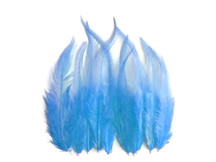 1 Dozen - Short Solid Light Blue Whiting Farm Rooster Saddle Hair Extension Feathers