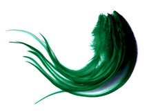 1 Dozen - Medium Solid Peacock Green Rooster Saddle Whiting Hair Extension Feathers