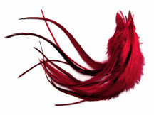 1 Dozen - Medium Solid Claret Rooster Saddle Whiting Hair Extension Feathers