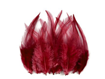 1 Dozen - Short Solid Claret Whiting Farm Rooster Saddle Hair Extension Feathers