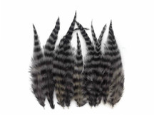 1 Dozen - Short Grey Dun Grizzly Whiting Farm Rooster Saddle Hair Extension Feathers