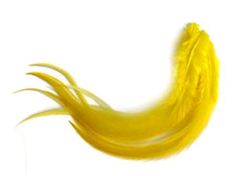 1 Dozen - Medium Solid Sunshine Yellow Rooster Saddle Whiting Hair Extension Feathers
