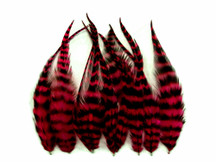 1 Dozen - Short Claret Grizzly Grizzly Whiting Farm Rooster Saddle Hair Extension Feathers