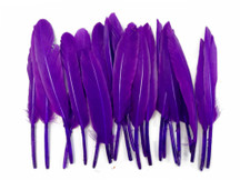 1 Pack - Purple Dyed Duck Cochettes Loose Wing Quill Feather 0.30 Oz.